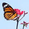 Image 06